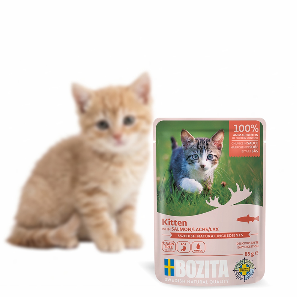 Mokra karma dla kociąt w sosie z łososiem 85g